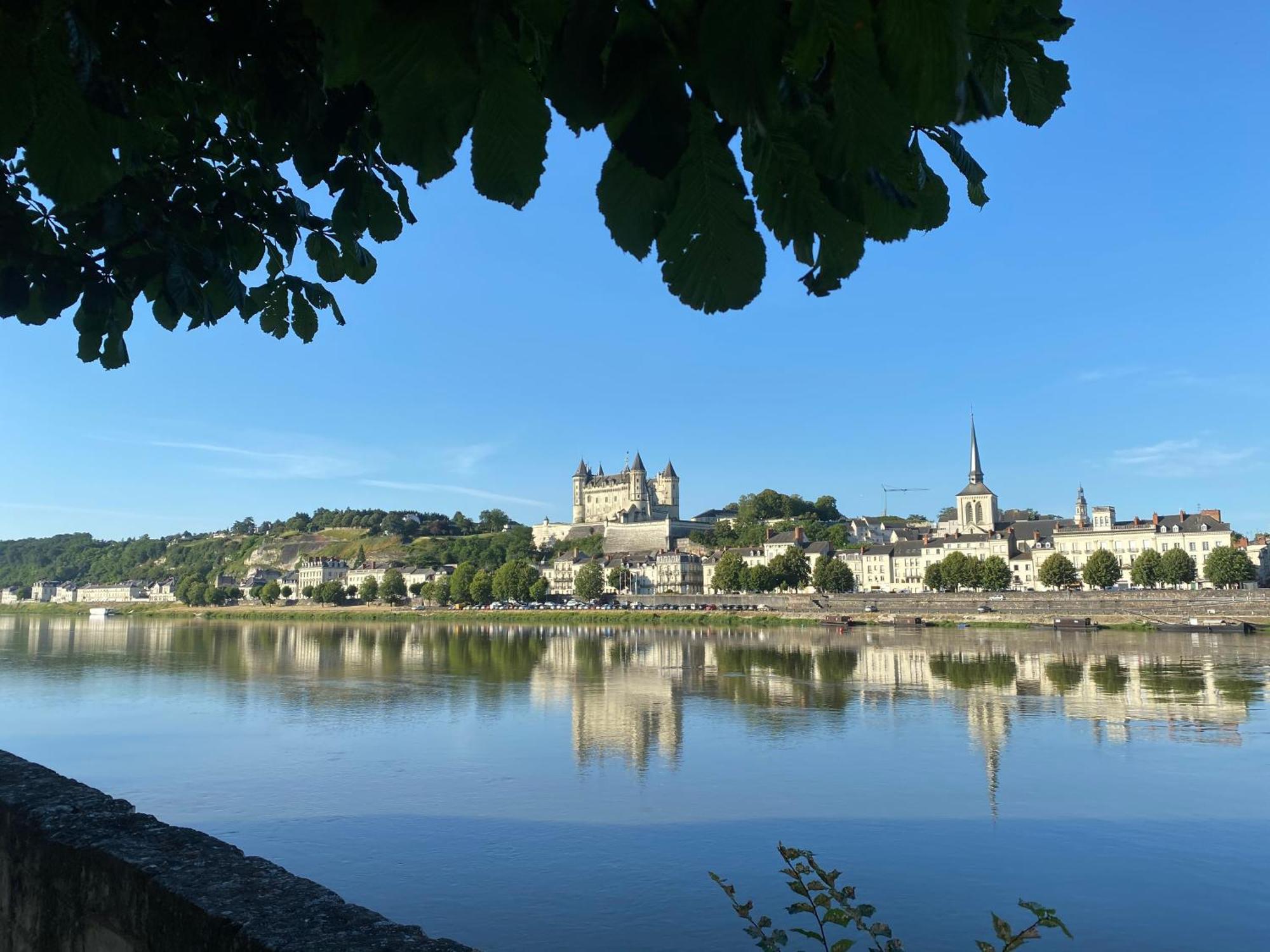 Logis Loire Hotel - Les Cocottes Restaurant Les Rosiers-sur-Loire Ngoại thất bức ảnh